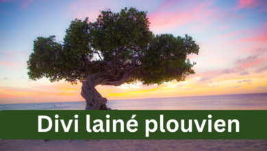 divi lainé plouvien