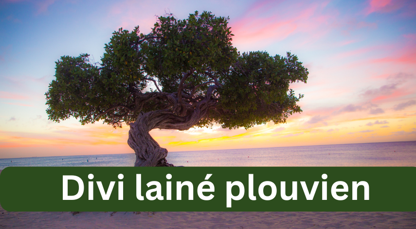 divi lainé plouvien